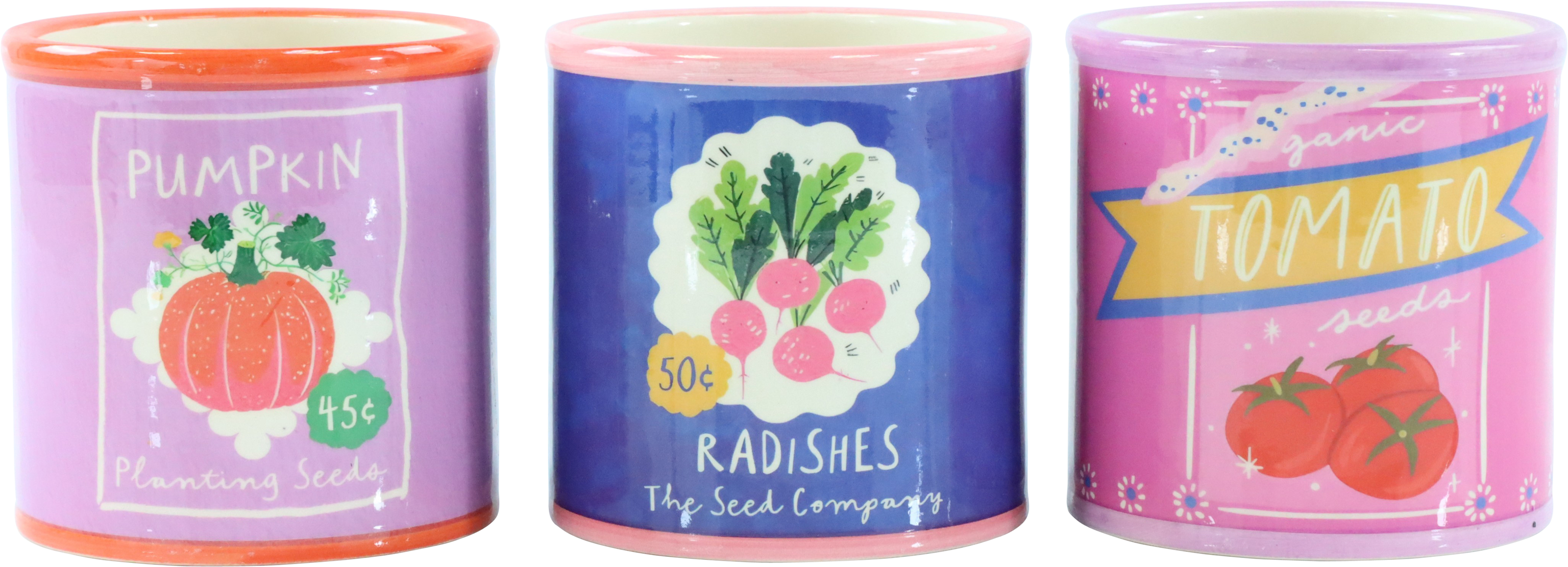 1182 MACETEROS VEGGIE GARDEN  S/3