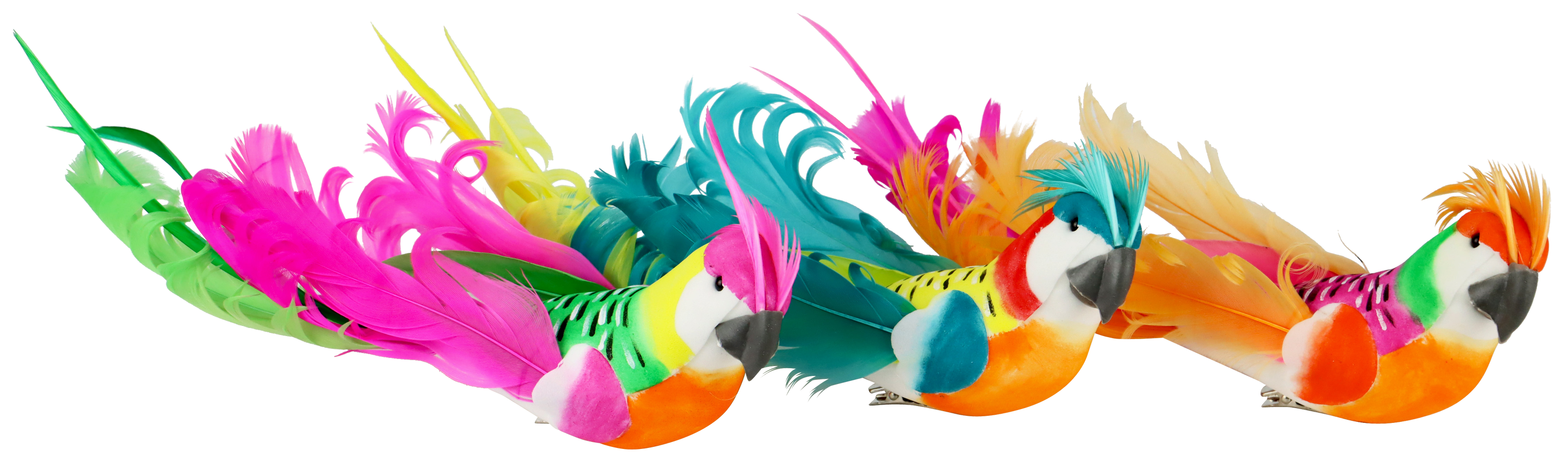 1693 COLLIERS BEAUTIFUL PARROTS  3P