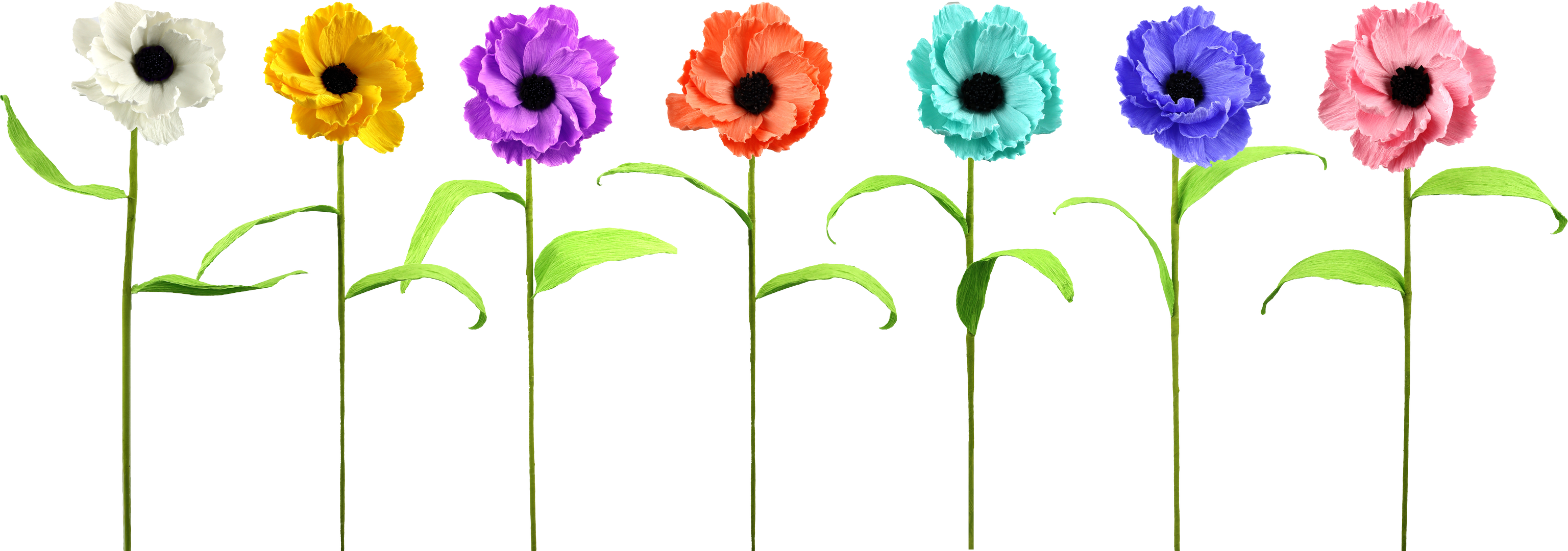 2099 BOUQUET DE FLEURS ANEMONE  7P