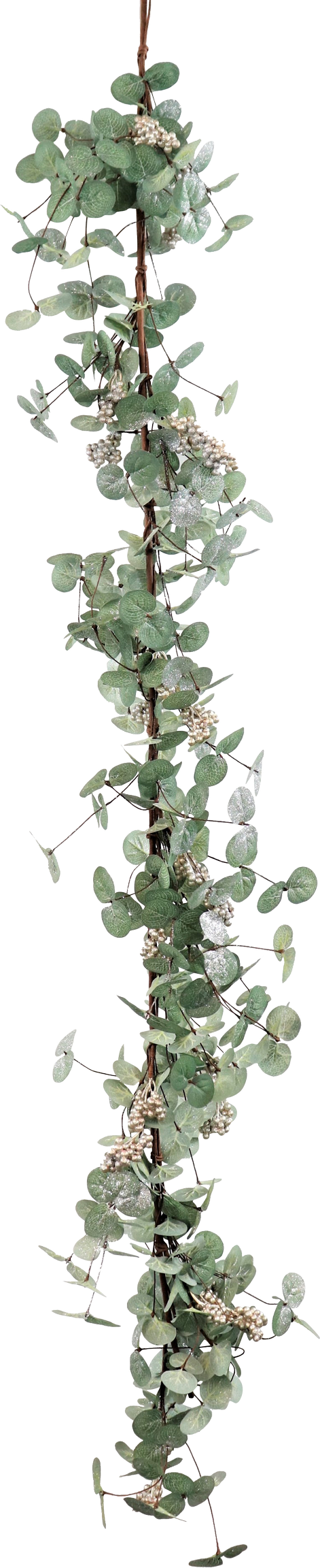 2189 GHIRLANDA  EUKALYPTUS