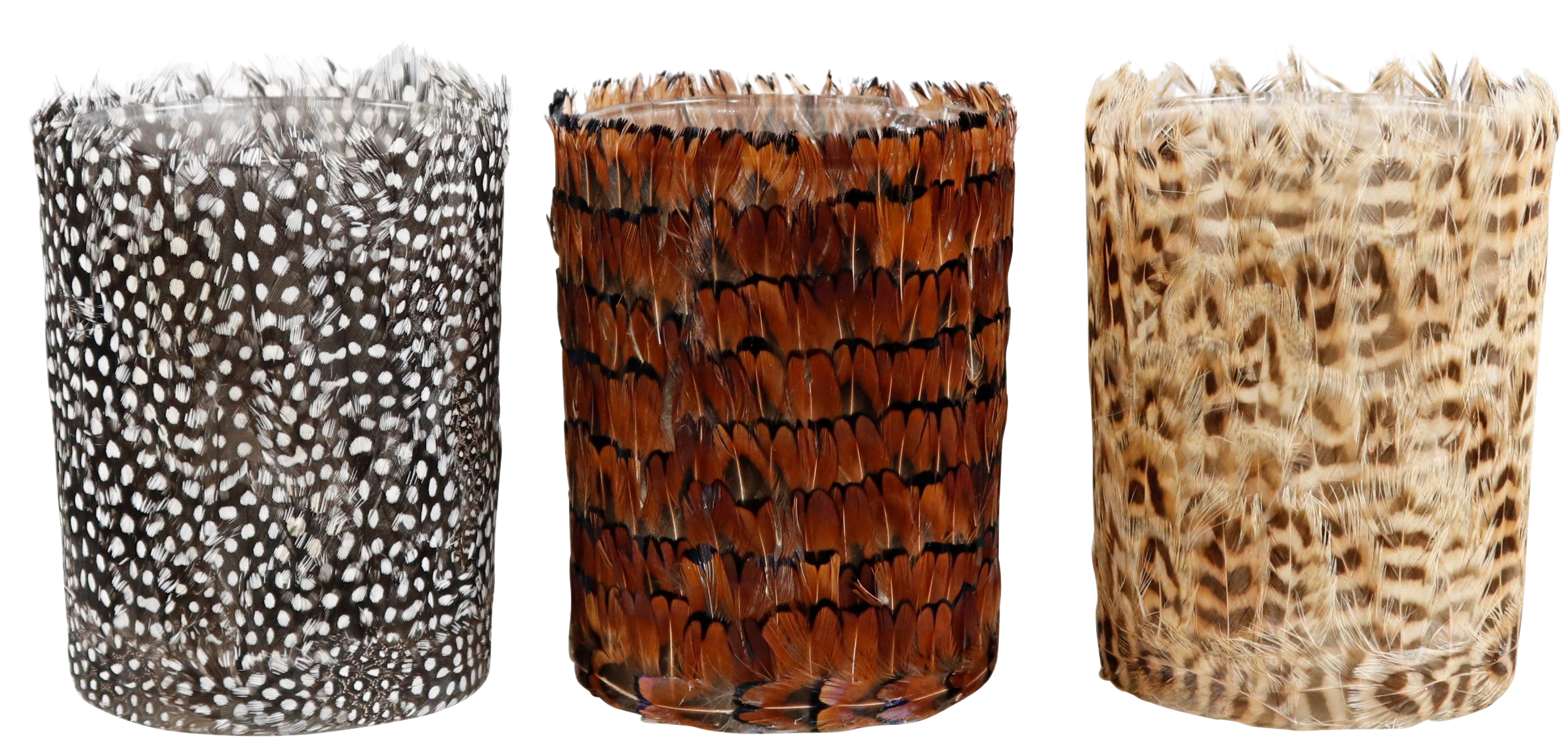 2381 PHOTOPHORES  NATURAL  3P