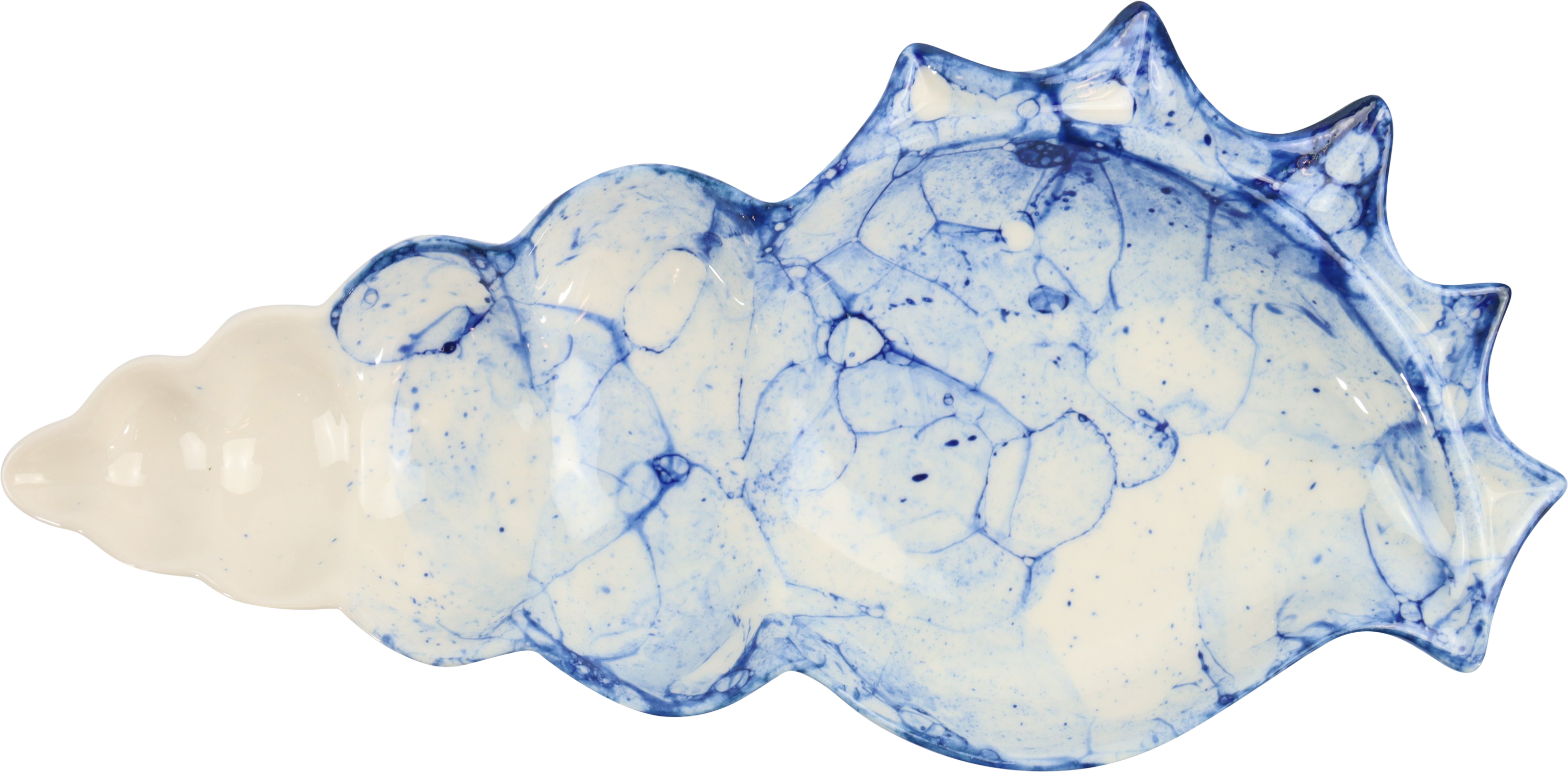 2451 CONCHIGLIA OCEAN