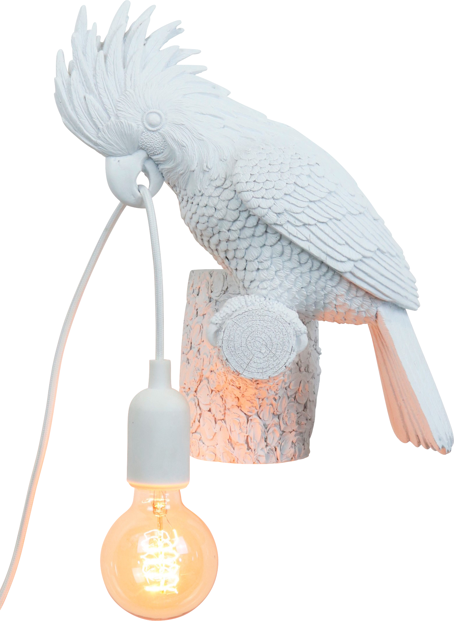 2487 APPLIQUE  KAKADU