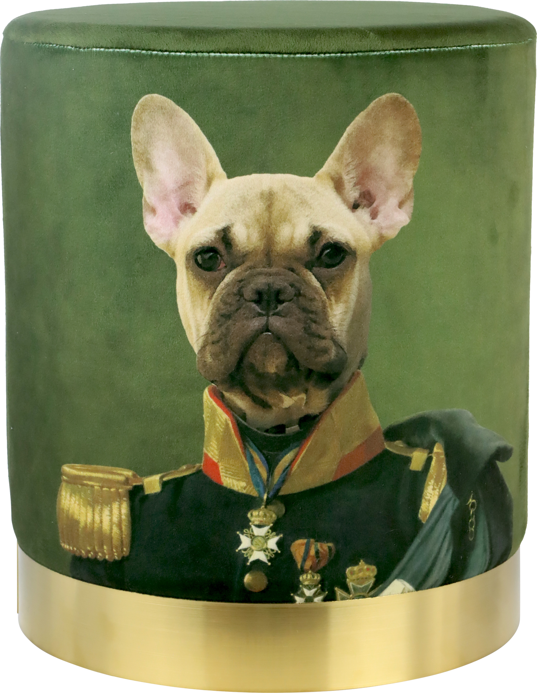 3053 POUF « KING OF DOGS »