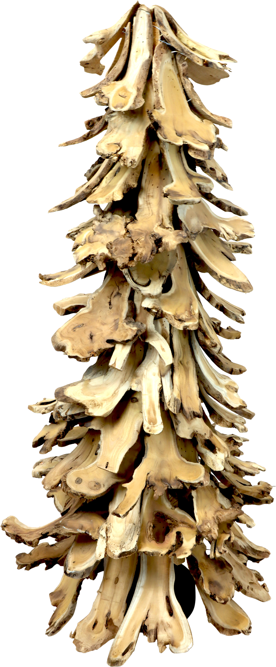 4036 ALBERO WOODLAND