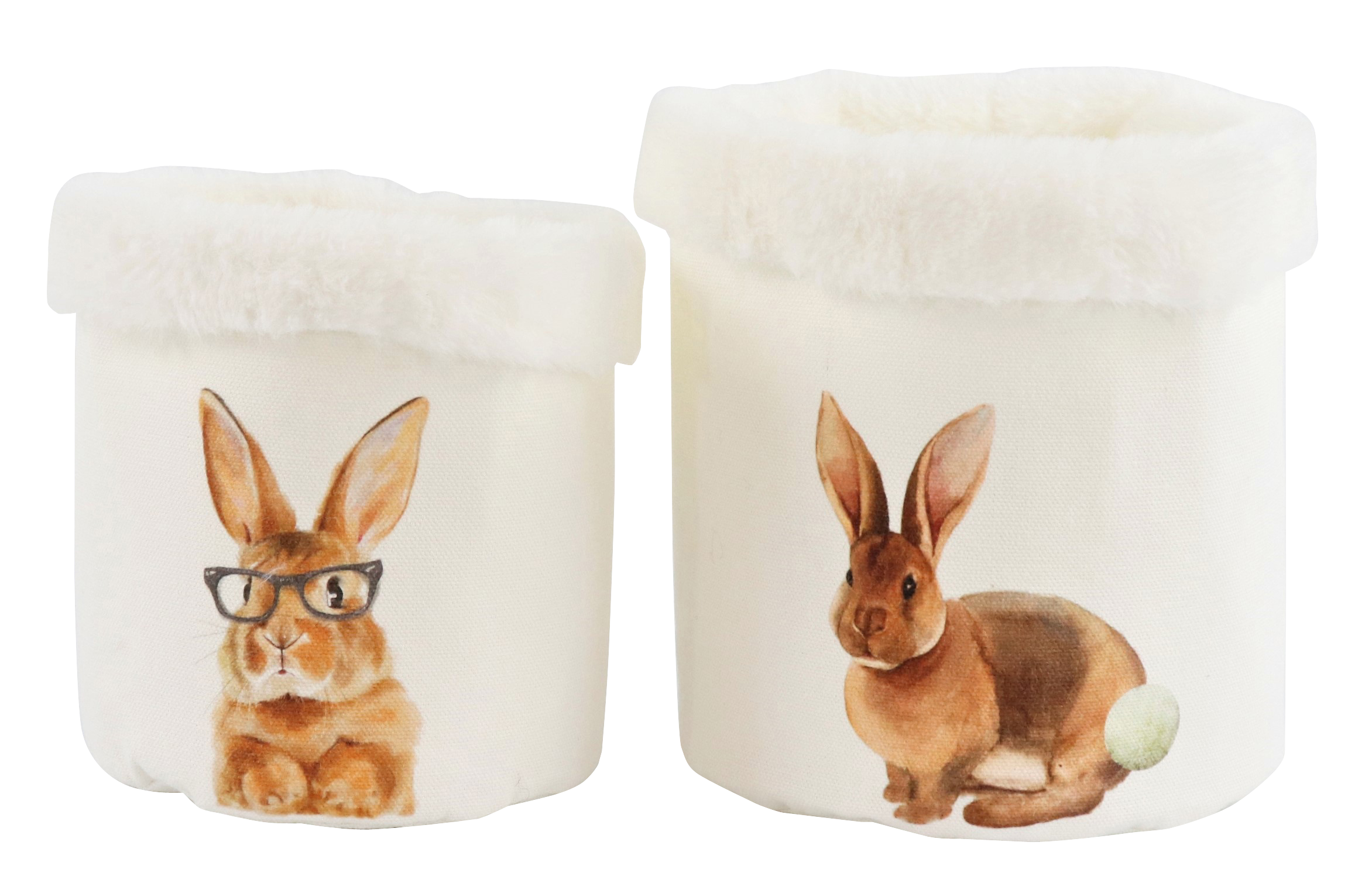 4440 CESTAS  HAPPY HASE  S/2