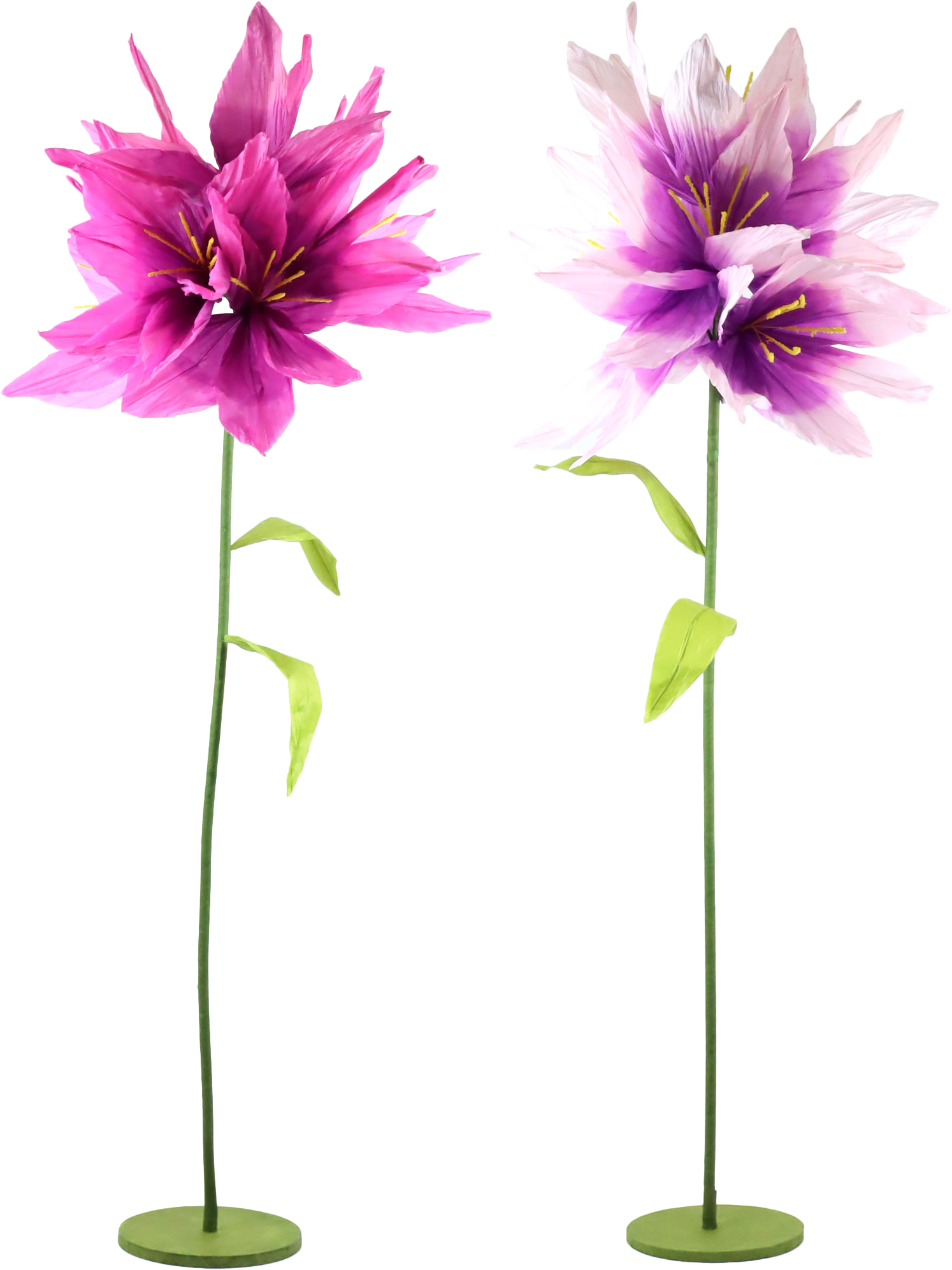 4578 FLEURS DÉCORATIVES FLEURISSE  2P