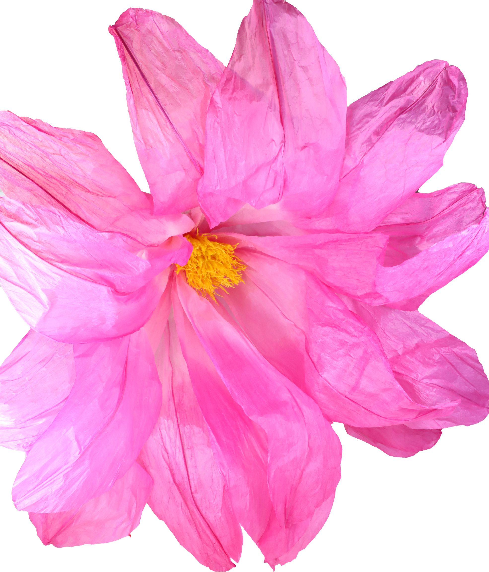 4582 FIORE XXL LILIE