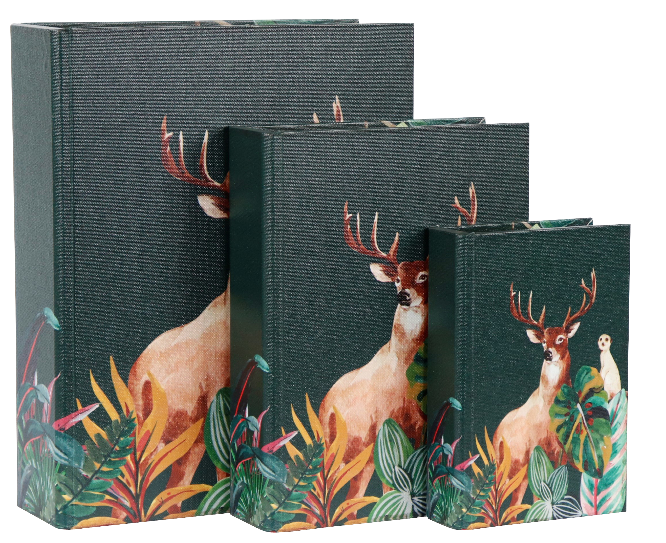 4769 LIVRES  HIRSCH  3P