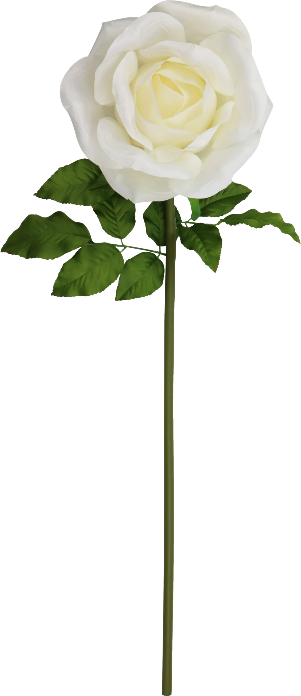 4929 FIORE GIGANTE ROSA