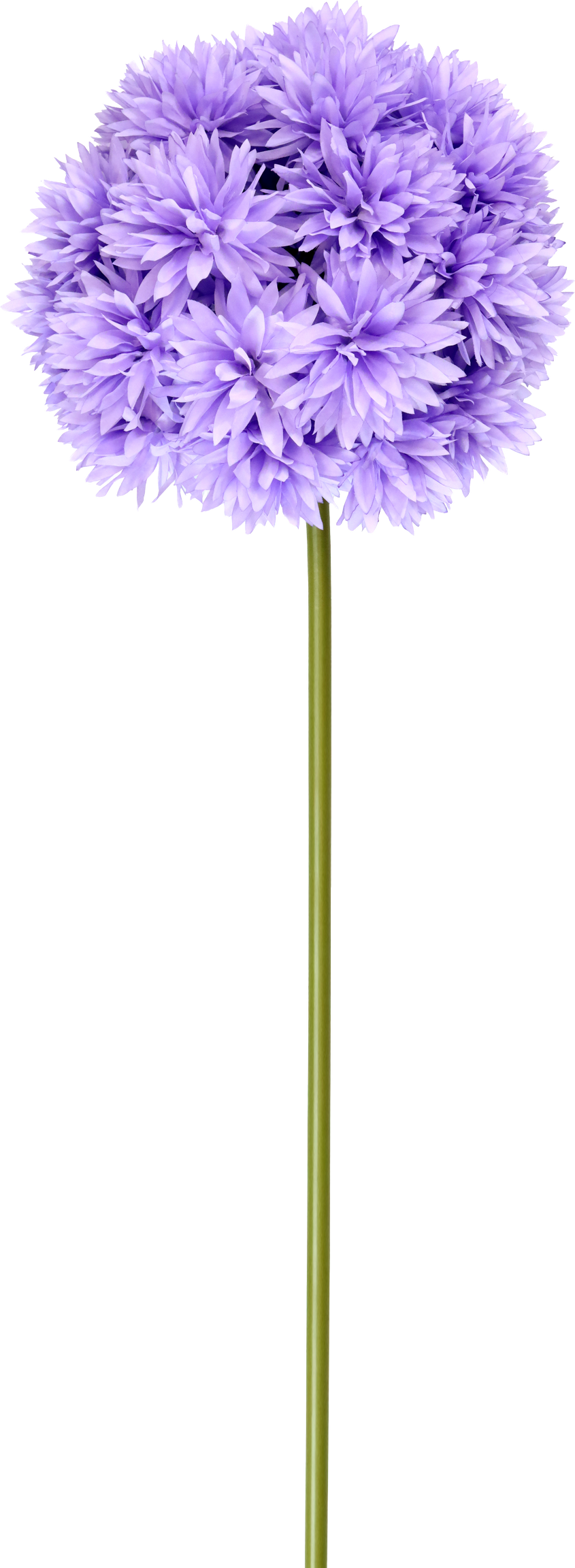 5212 XL-FLOWER CHRYSANTHEME