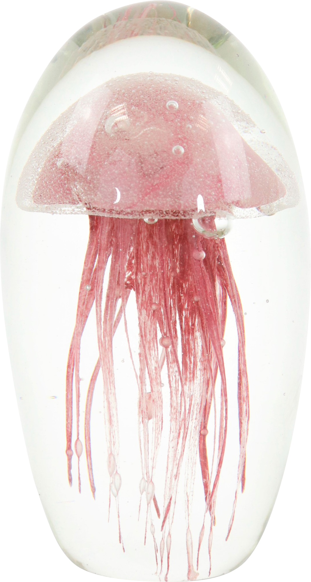 5283 FERMACARTE  MEDUSA