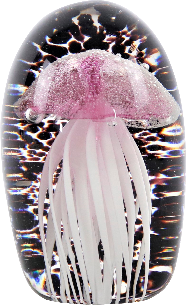 5292 FERMACARTA  MEDUSA