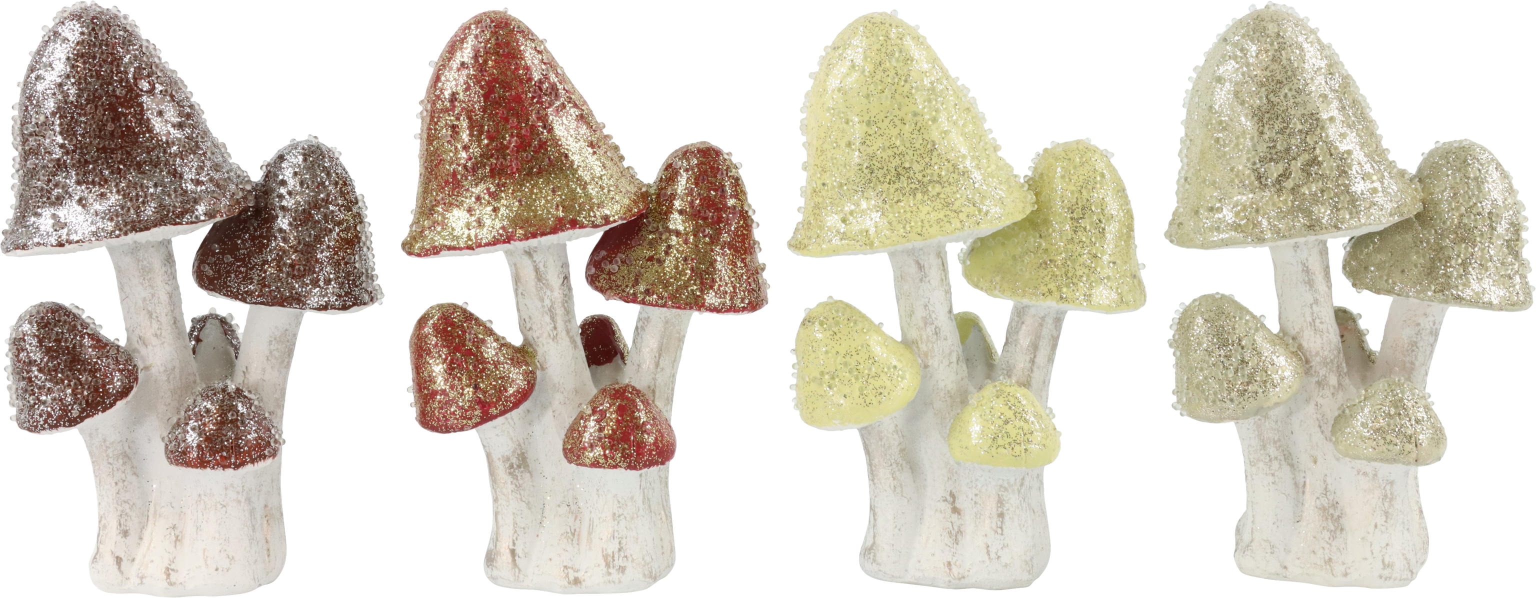 5318 CHAMPIGNONS GLAMOUR  4P