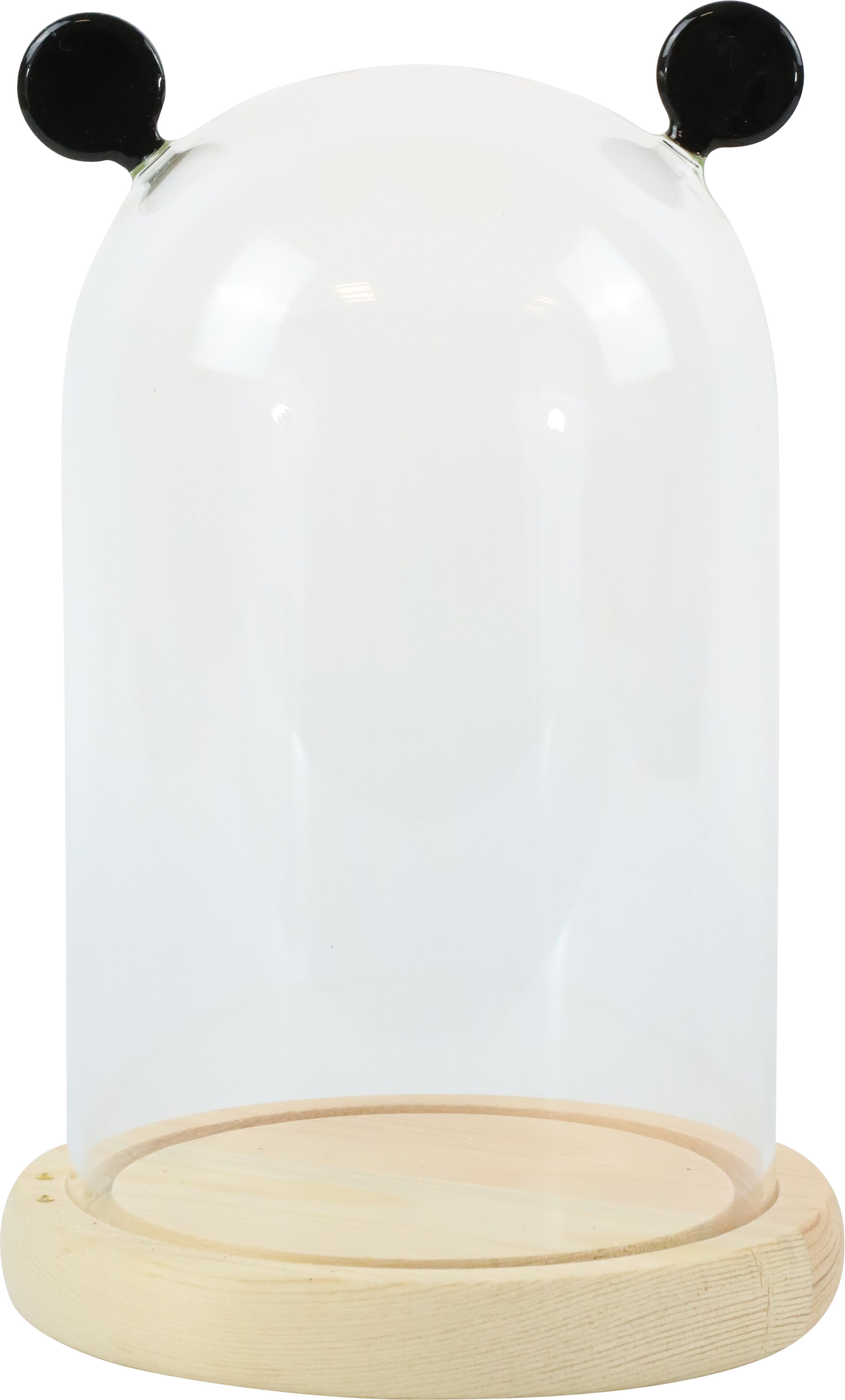 5542 CUBIERTA VIDRIO  BROADWAY