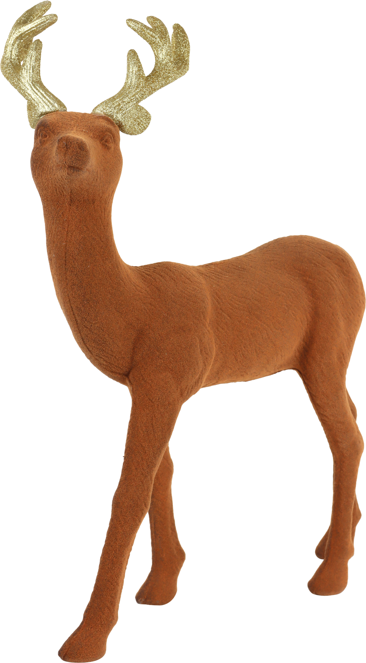 5718 PLATZHIRSCH WALDEMAR