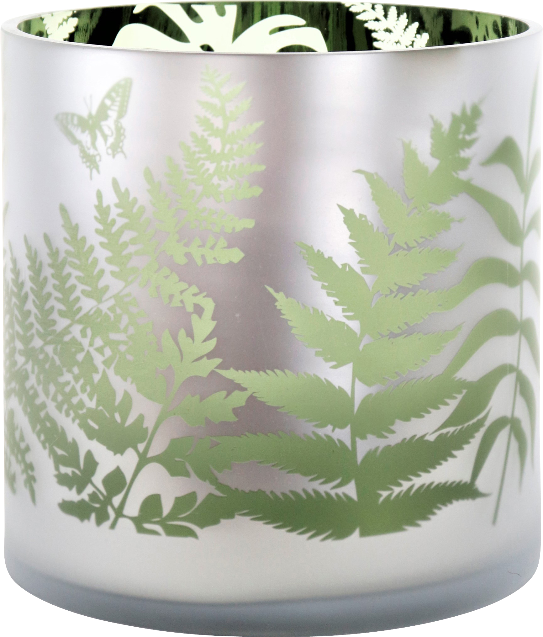 5780 PHOTOPHORE  LEAVES