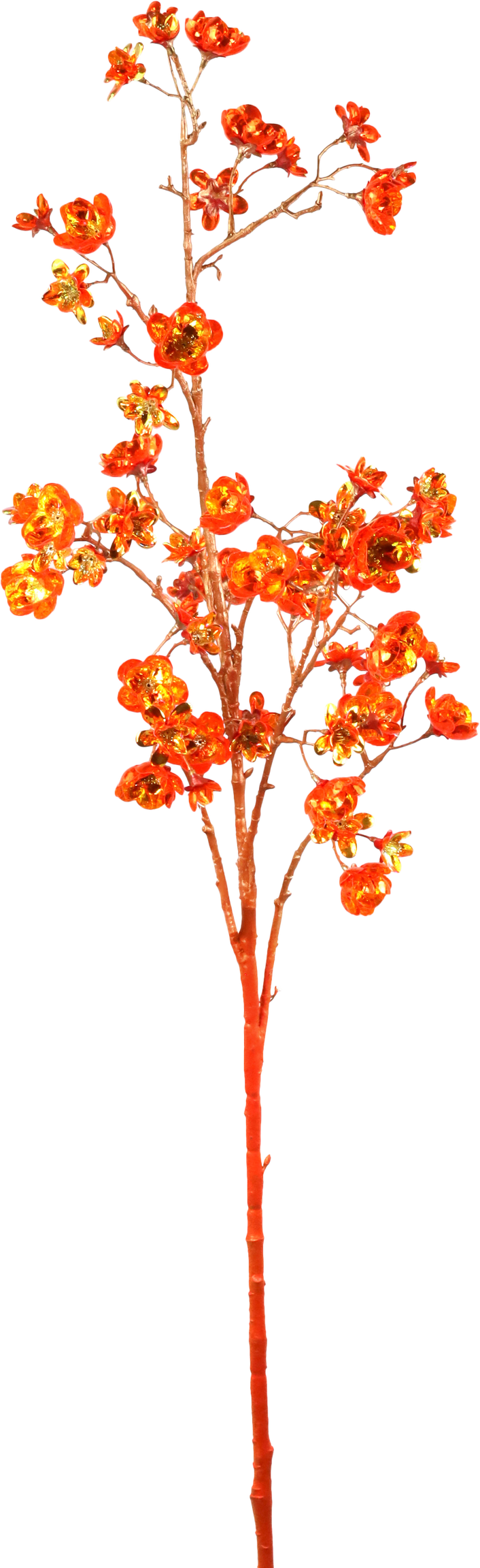 5833 RAMO  FLORA LUXE  ORANGE