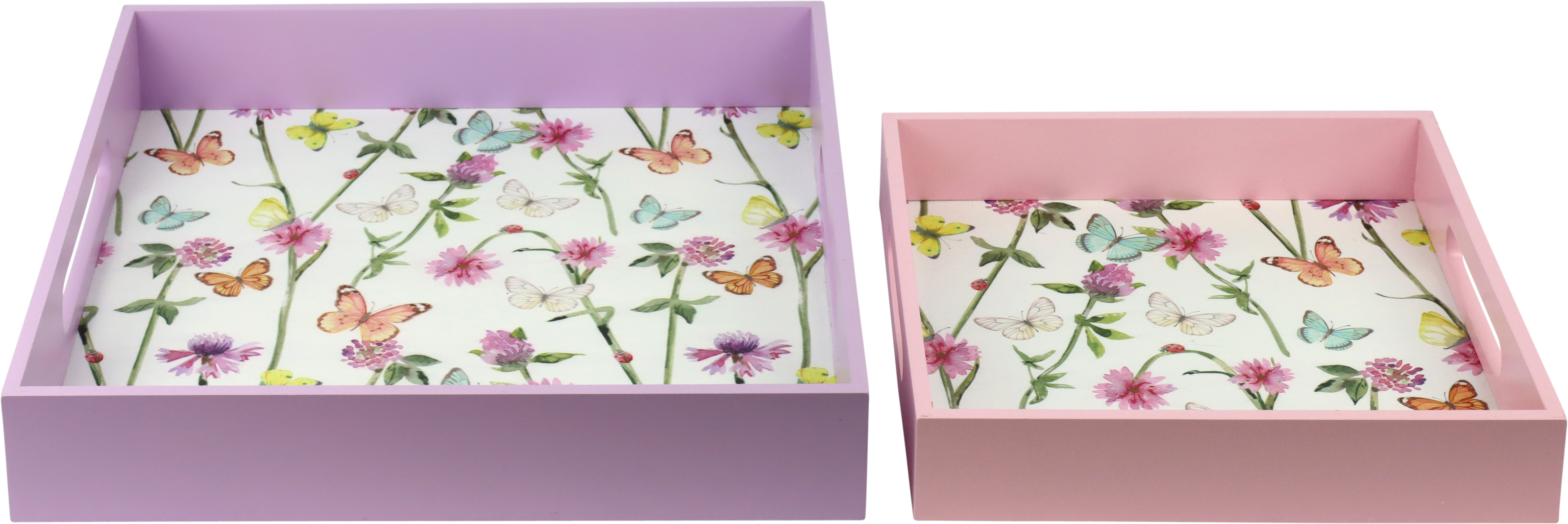 5855 BANDEJAS  BUTTERFLY  S/2