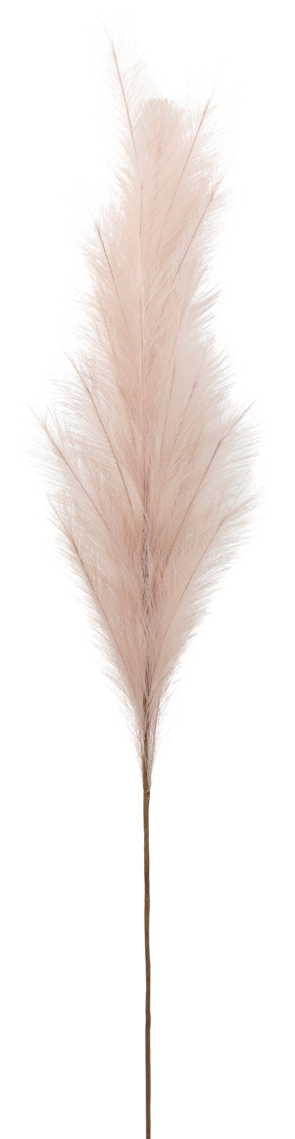 5913 PLUME  LAVENDEL  170CM