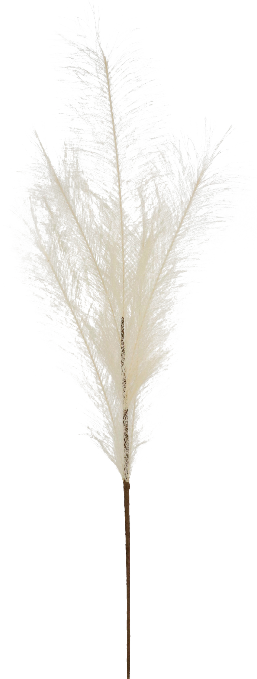 5981 PLUME ELFENBEIN 80CM
