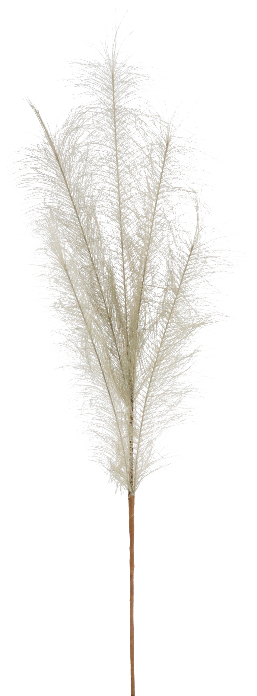 5984 PIUME  TAUBENBLAU 80CM