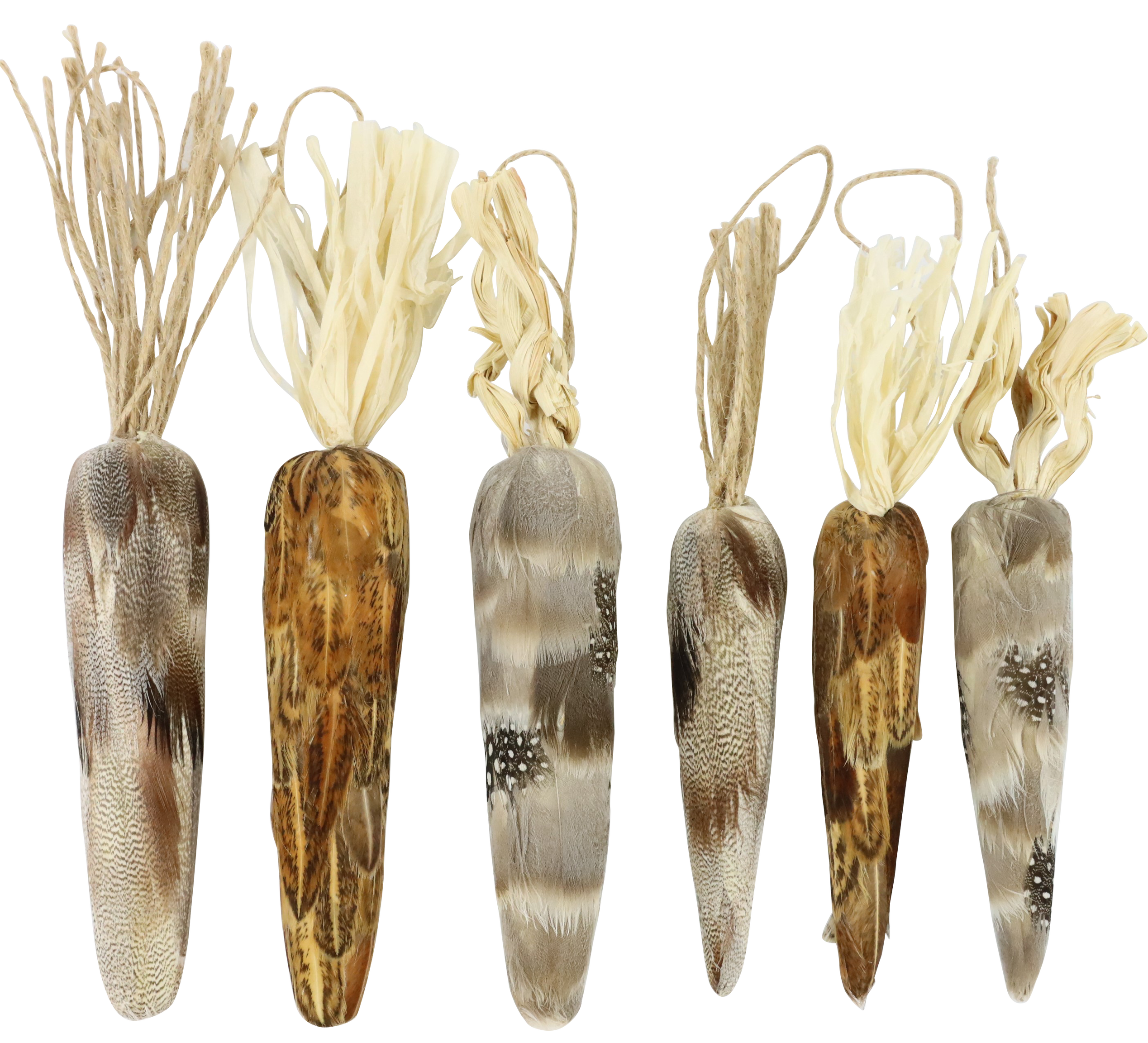 6131 SERIE CAROTE NATURAL EAST  6PZ