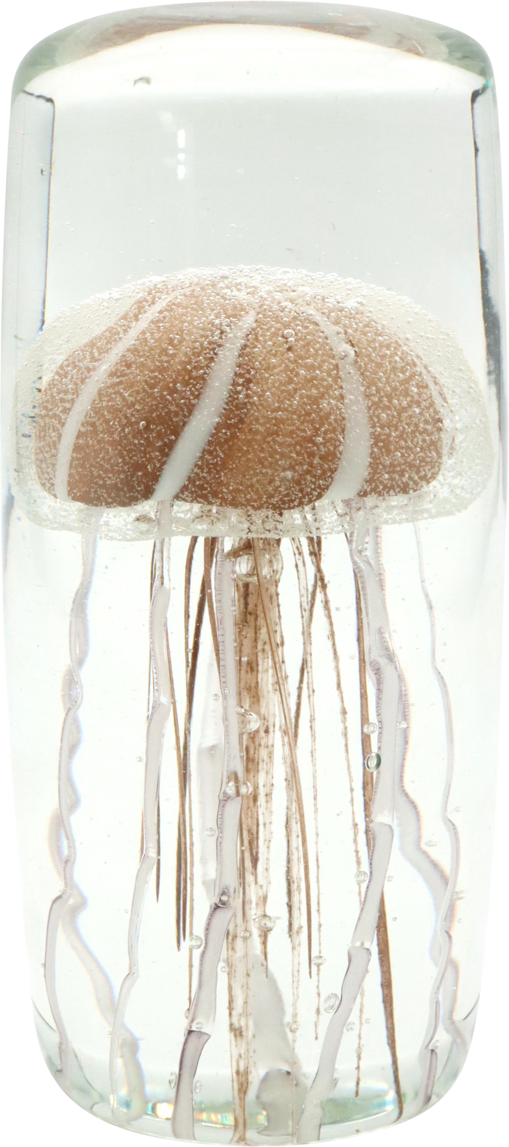 6386 PAPELERO MYSTIC MEDUSA