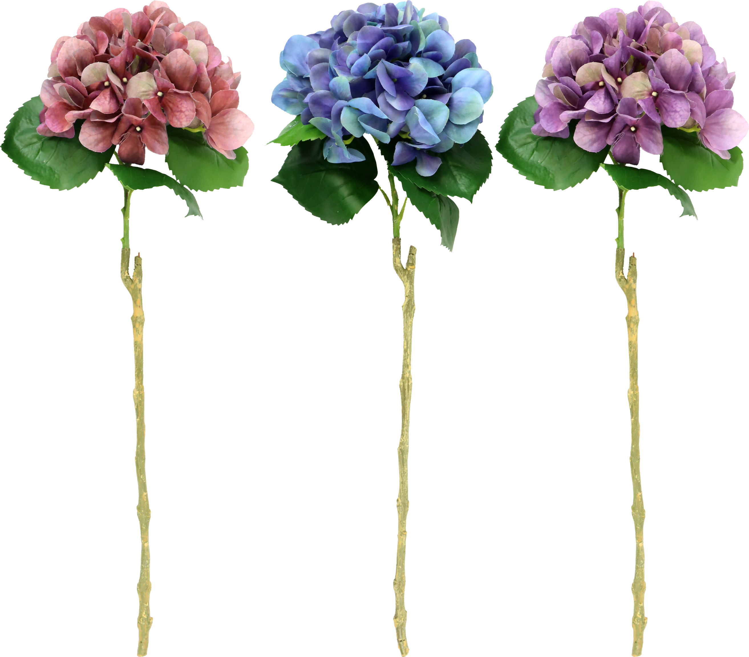6612 ZIERBLUMEN HORTENSIE  S/3