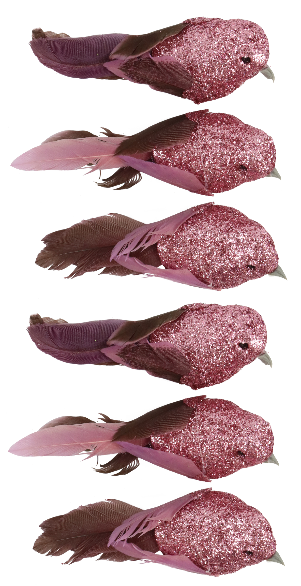 6663 UCCELLI  FEDERSTOLZ  6PZ