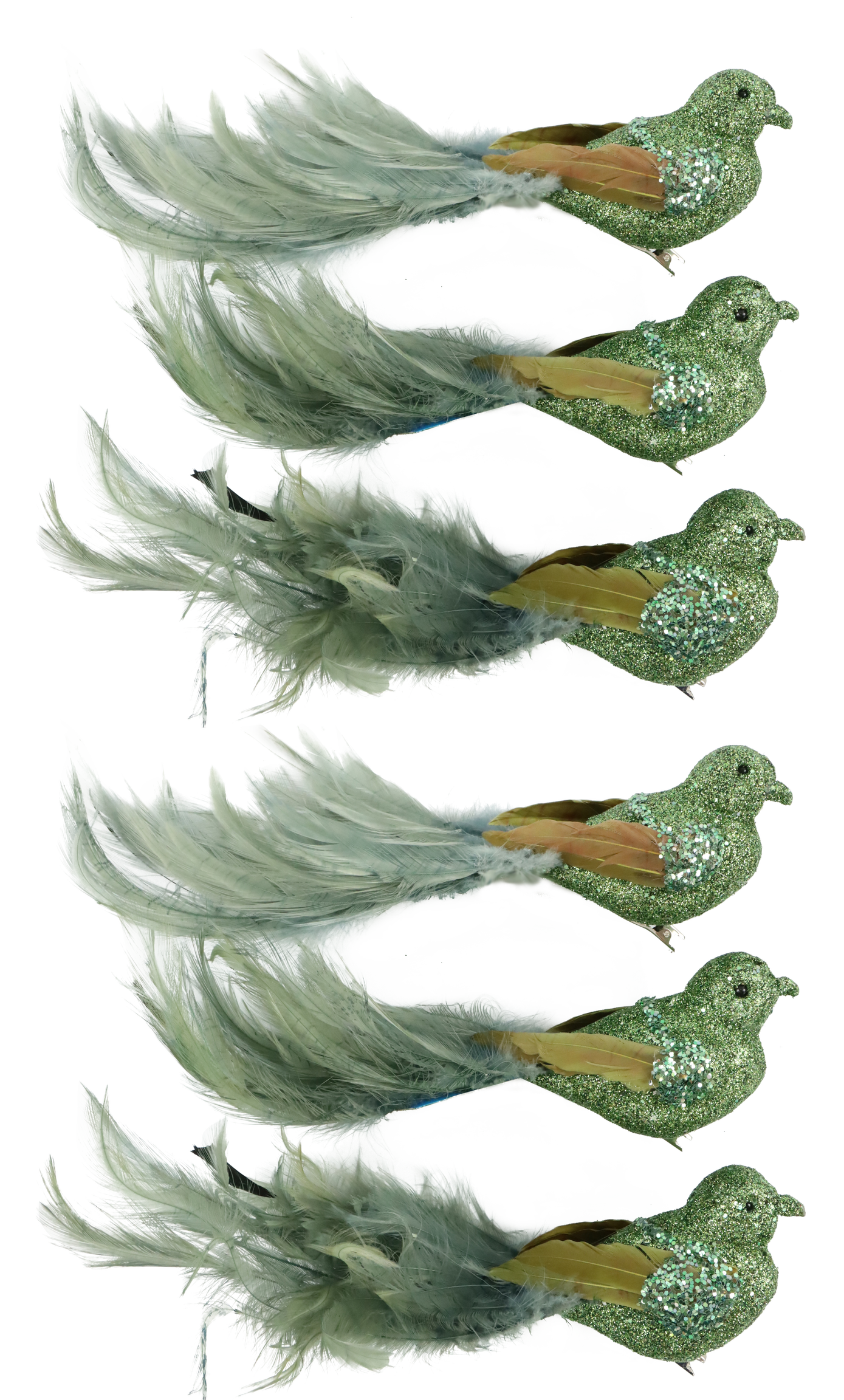 6665 UCCELLI  FEDERSTOLZ  6PZ