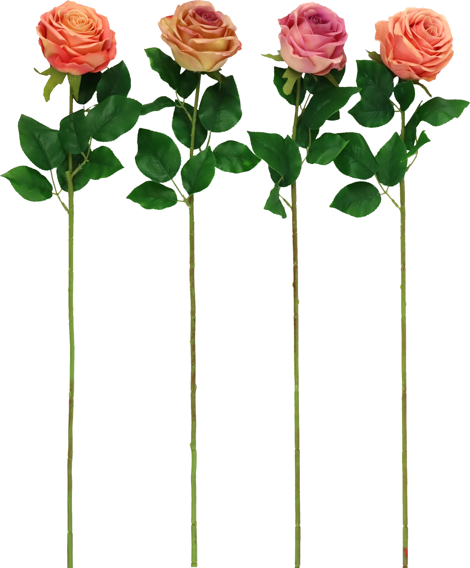 6670 ZIERBLUMEN ROSE  S/4