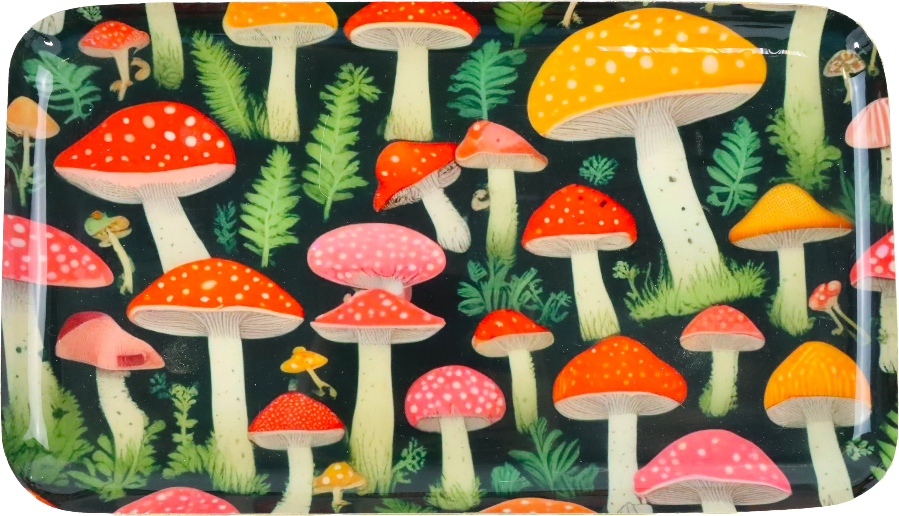 7070 BANDEJA GLÜCKSPILZ