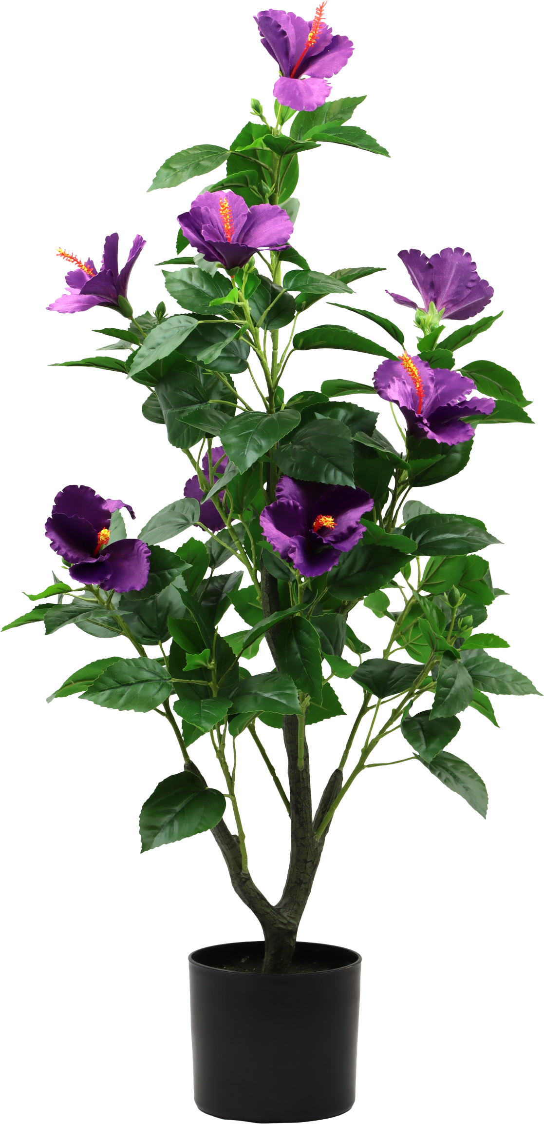 7289 ARBRE DÉCO. HIBISCUS DREAM