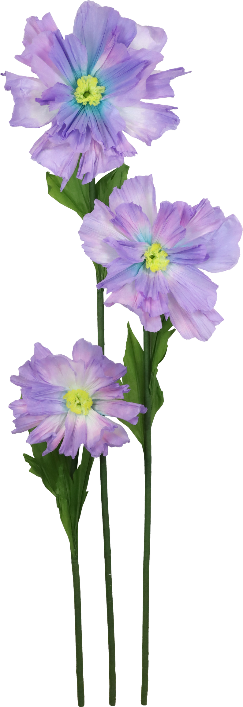 7951 FIORE  FLEUR FANTASTIQUE  3PZ
