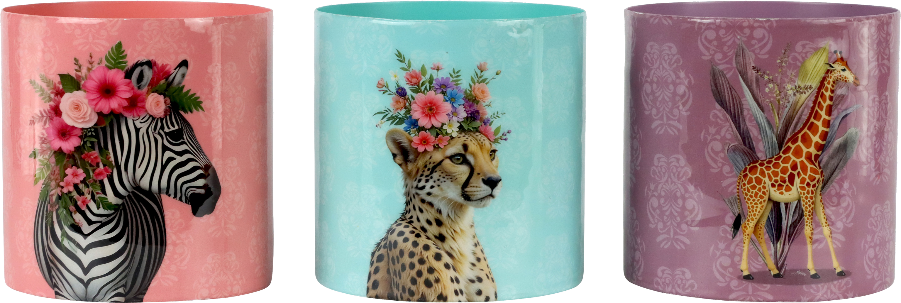 8697 CACHE-POTS SAVANNA DREAMS  3P