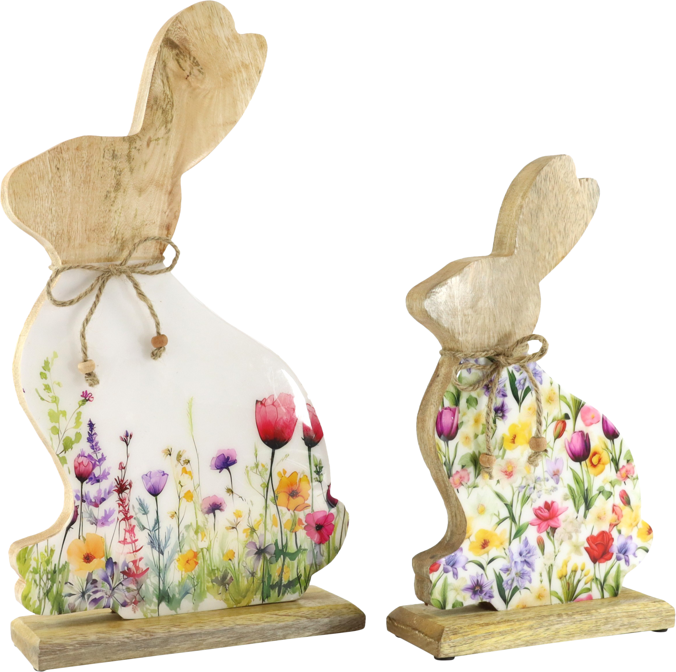 8816 CONEJOS BUNNY BLOOM  S/2