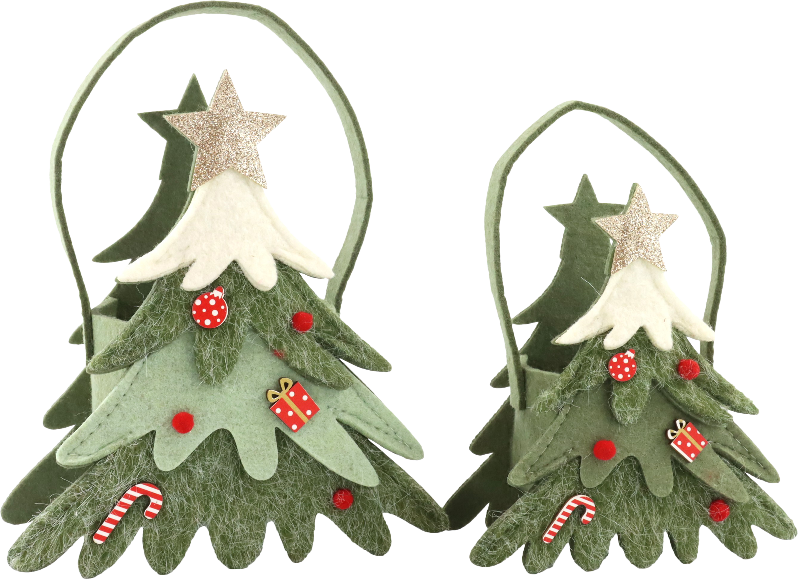 9652 SACSENFEUTRE EVERGREEN TREES   2P